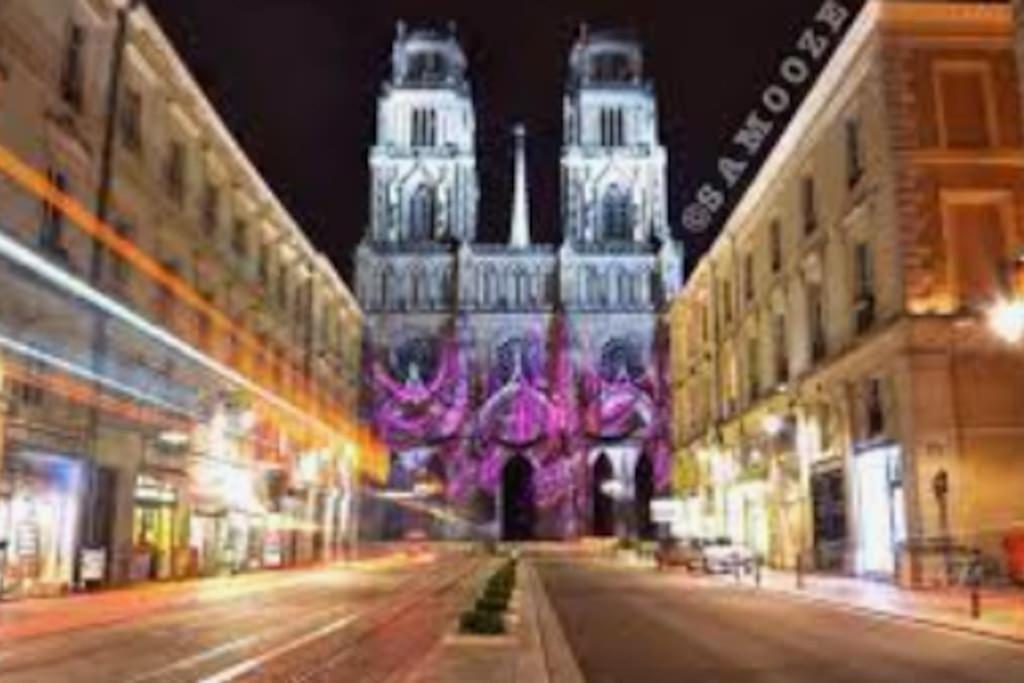Chaleureux Appart, Proche De La Loire Avec Parking Orléans Exterior foto